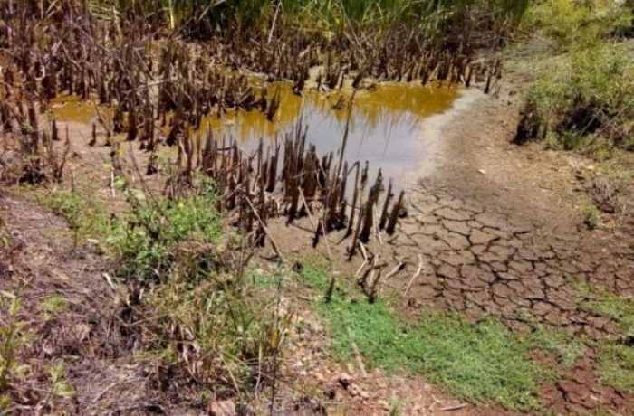 Governos federal e estadual anunciam políticas para mitigar efeitos da seca no RS