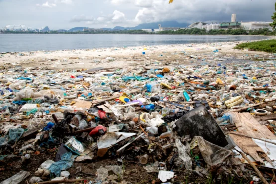 Pesquisa inédita mostra entraves à reciclagem de embalagens plásticas | Foto: Ricardo Gomes/Instituto Mar Urbano/ Divulgação 
