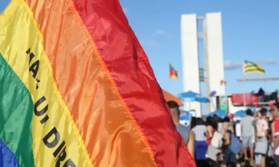 Pré-candidaturas LGBT já registram crescimento de 400% | Foto: Elza Fiúza/Agência Brasil