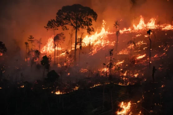 Muito além da tragédia do clima | Foto: Nilmar Lage/Greenpeace/Divulgação