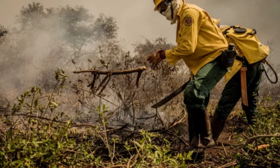 Incêndios no Pantanal já consumiram este ano mais de 15% do bioma | Foto: Christiano Antonucci/ Secom/ MT