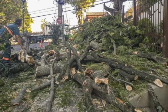 Mais espigões e menos árvores esse foi o aprendizado da tragédia climática | Foto: Divulgação/SMSUrb  PMPA