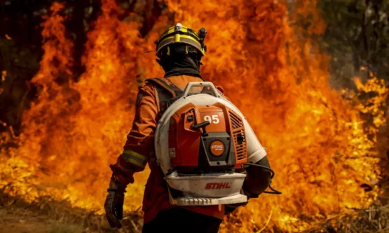 Onde há fumaça, há fogo, queimada e impunidade | Foto:  Marcelo Camargo/Agência Brasil