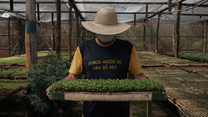 Superação do descompasso entre desenvolvimento e sustentabilidade é liderada por cooperativas