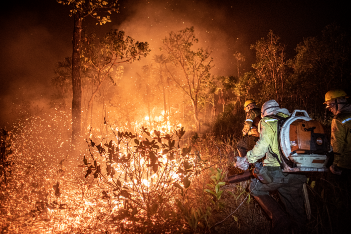 Todo incêndio será considerado criminoso, alerta Marina Silva