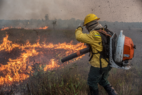 Todo incêndio será considerado criminoso, alerta Marina Silva