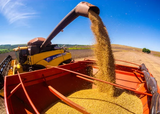 Rio Grande do Sul pode ter maior produção de grãos da sua história | Foto: Antonio Neto/Embrapa