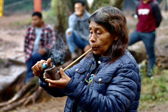 Viamão é foco da segunda edição de revista ambiental