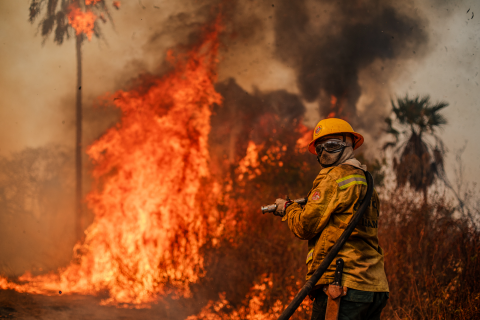 Ações para enfrentar a crise climática não passam de boas intenções