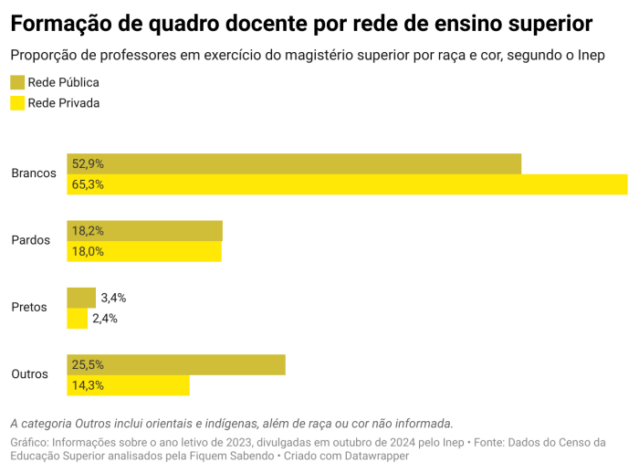 Apenas 21% dos docentes do ensino superior são negros