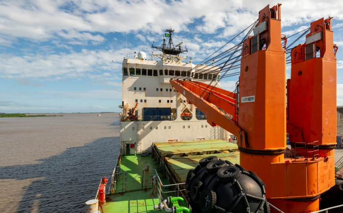 Liderados pelo Brasil, 61 cientistas do Brics partem em expedição para a Antártica