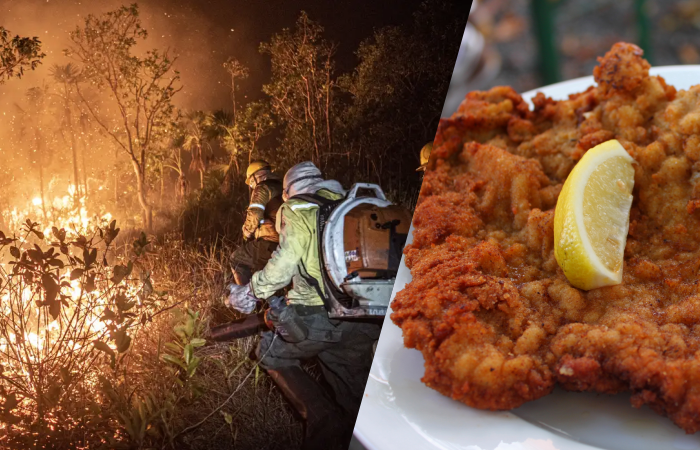 Por trás do schnitzel alemão pode haver um Cerrado desmatado