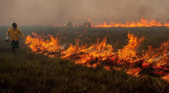 Aquecimento global 2024 teve em média 41 dias de calor extremo | Foto: Vinícius Mendonça/Ibama 