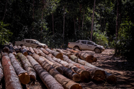 Nova Lei no Mato Grosso pode devastar mais 5,5 milhões de hectares da Amazônia