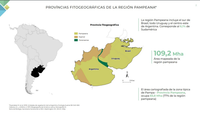 Pampa perdeu 3,3 milhões de hectares de mata nativa para a soja