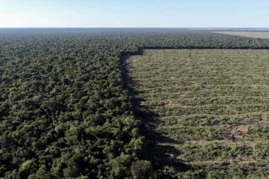 Nova Lei no Mato Grosso pode devastar mais 5,5 milhões de hectares da Amazônia | Foto: Ibama/Divulgação