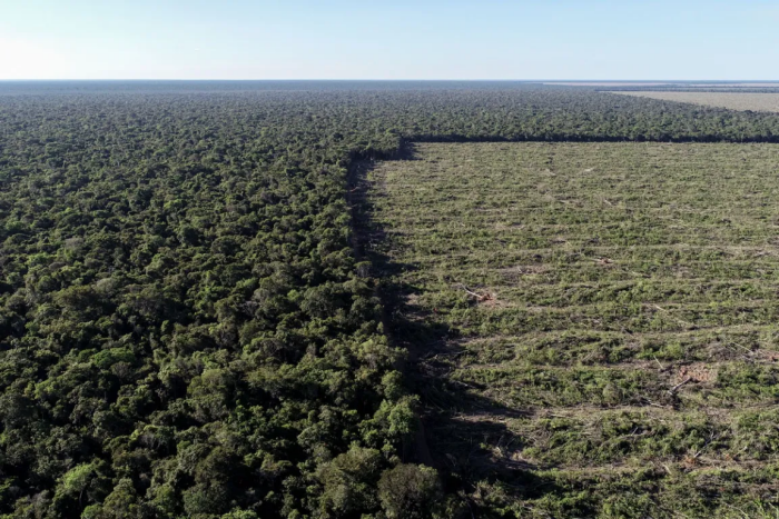 Nova Lei no Mato Grosso pode devastar mais 5,5 milhões de hectares da Amazônia