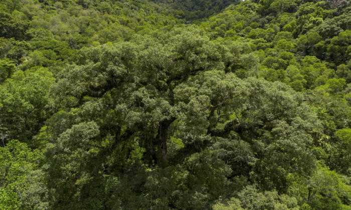 Instituições financeiras têm baixo desempenho em sustentabilidade