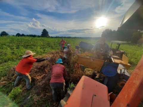 MST inaugura agroindústria de ponta no Paraná para beneficiar 40 toneladas de feijão por dia