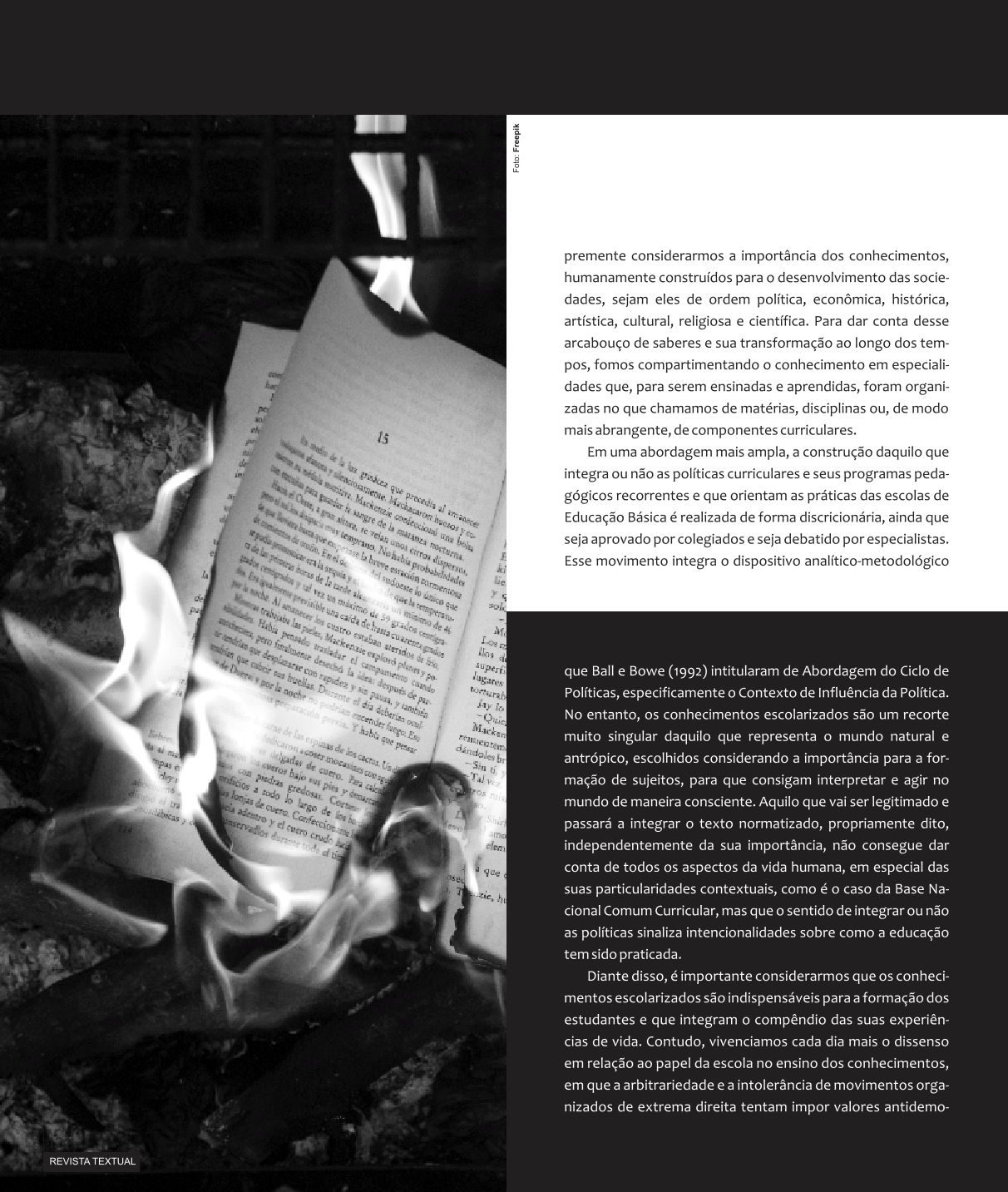 Página Revista