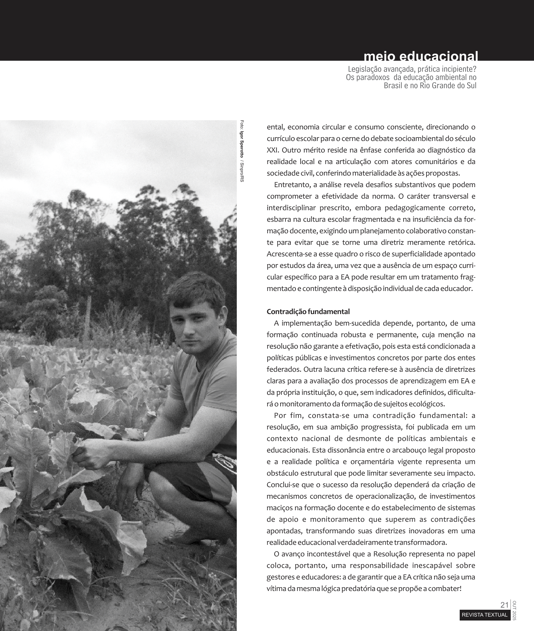 Página Revista