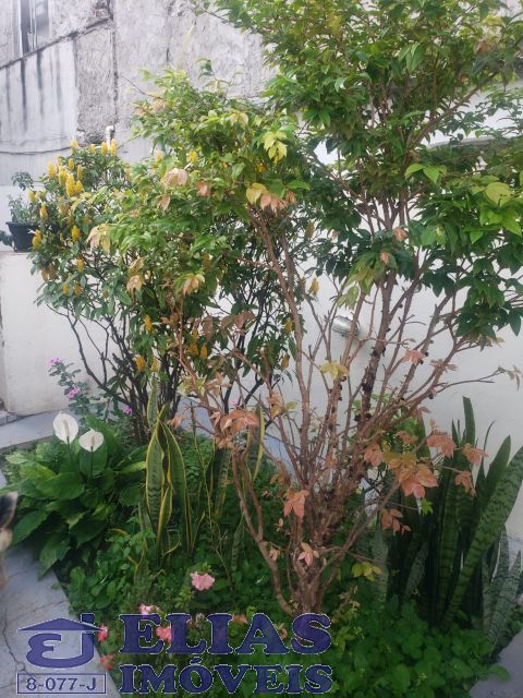 78c57b85-72a8-4821-ba45-31e0f07beda1-ELIAS CASA Vila Constanca 8068 