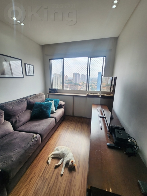 0038e821-f606-4e3b-bdb0-85fc363cb365-KING IMOVEIS APARTAMENTO VILA ESPERANCA 66179