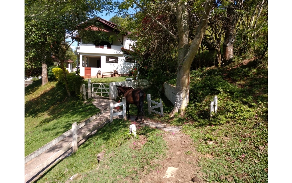03b1edad-918f-4ef4-8cae-8aaf5efc080c-KING IMOVEIS SITIO CHACARA SANTA ISABEL 54030