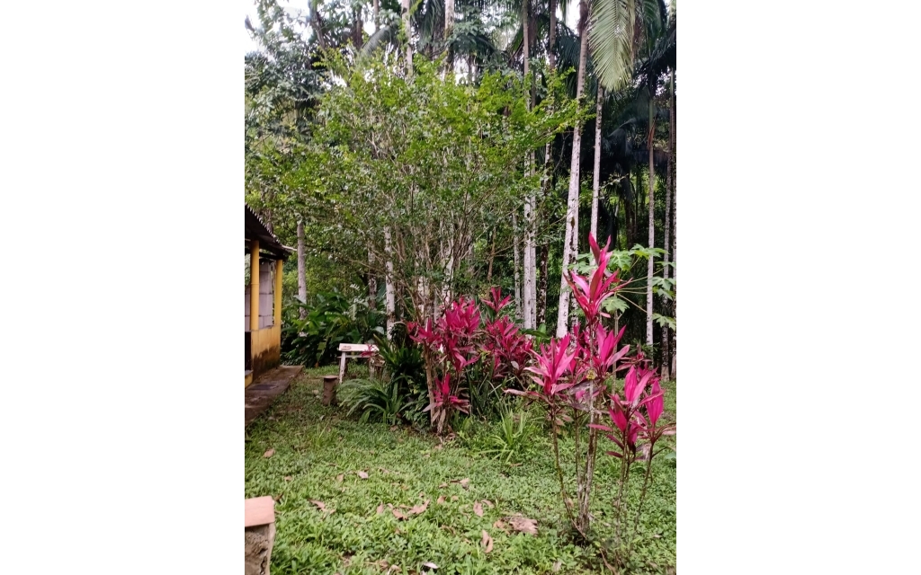 12f6ec0b-78aa-4540-a9c2-302499706299-KING IMOVEIS SITIO CHACARA  57086