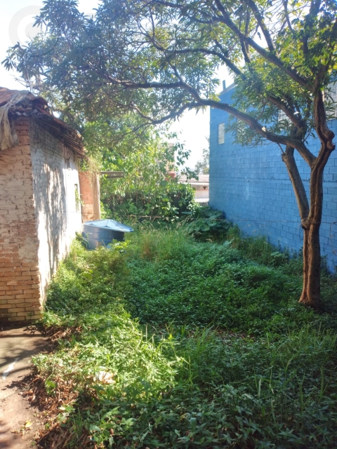 27631b31-c66b-43b2-b704-db651f0074b5-KING IMOVEIS TERRENO Vila Uniao Zona Leste 61777