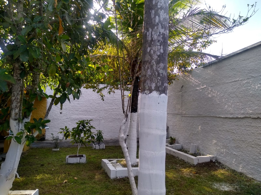29265b81-848b-464c-9016-606a052d407f-KING IMOVEIS CASA  63416