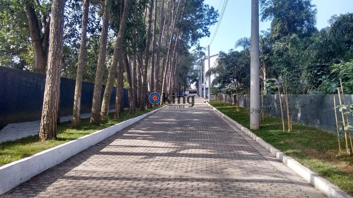 3c78e102-bb81-415d-bb6c-fc91a7403de2-KING IMOVEIS APARTAMENTO Jardim Sao Luis 77384