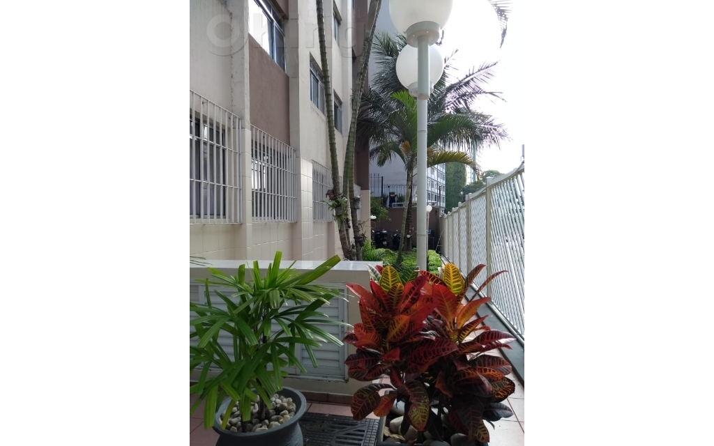 4de34cbf-6020-4bc5-ae85-365752b9bc08-KING IMOVEIS KITNET BELA VISTA 48118