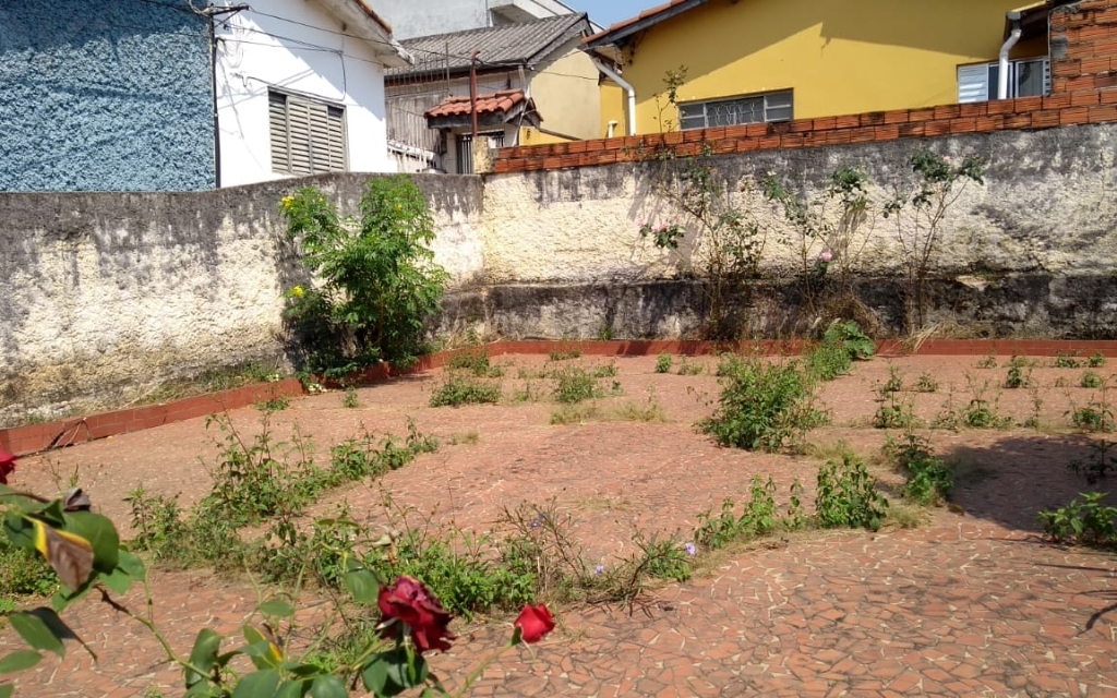 6d6c25da-22f2-4038-8b8e-73bcd5babe56-KING IMOVEIS CASA VILA ESPERANCA 50004