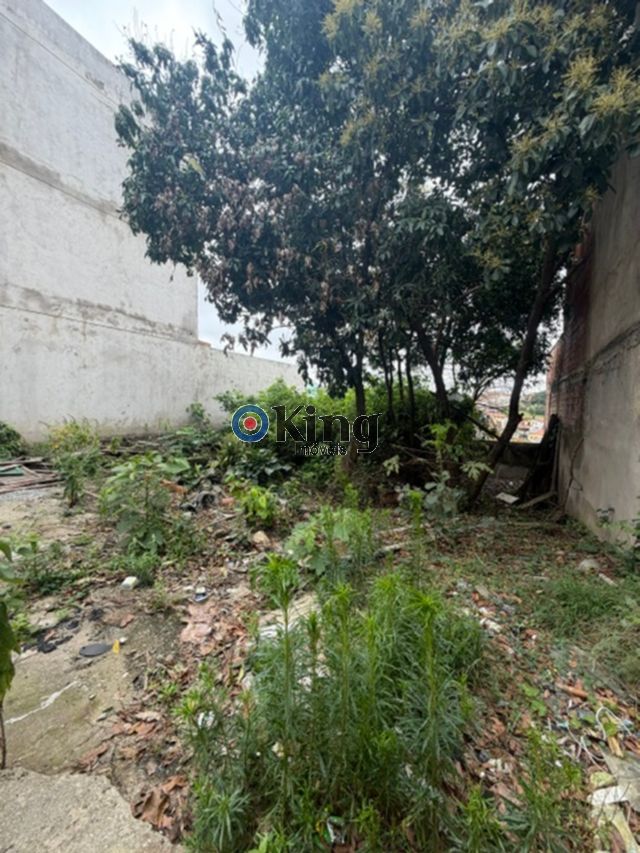 747c5cda-5714-4d12-b6b2-8bd475cdd2ed-KING IMOVEIS TERRENO Vila Franci 77174