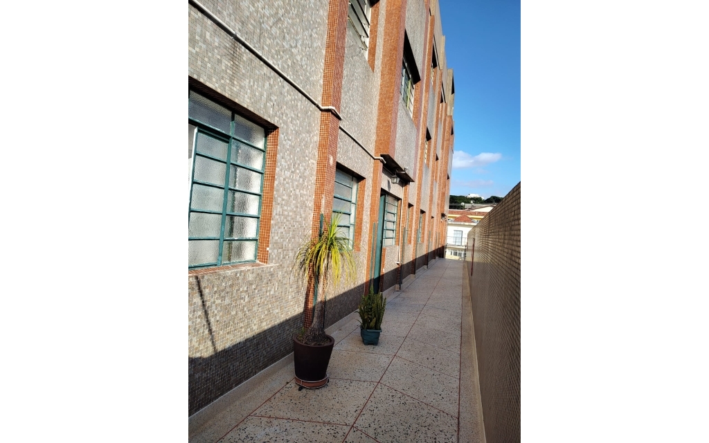 87b661f6-51fd-4796-bca4-f2b463a6d5e6-KING IMOVEIS APARTAMENTO VILA SAO GERALDO 55594