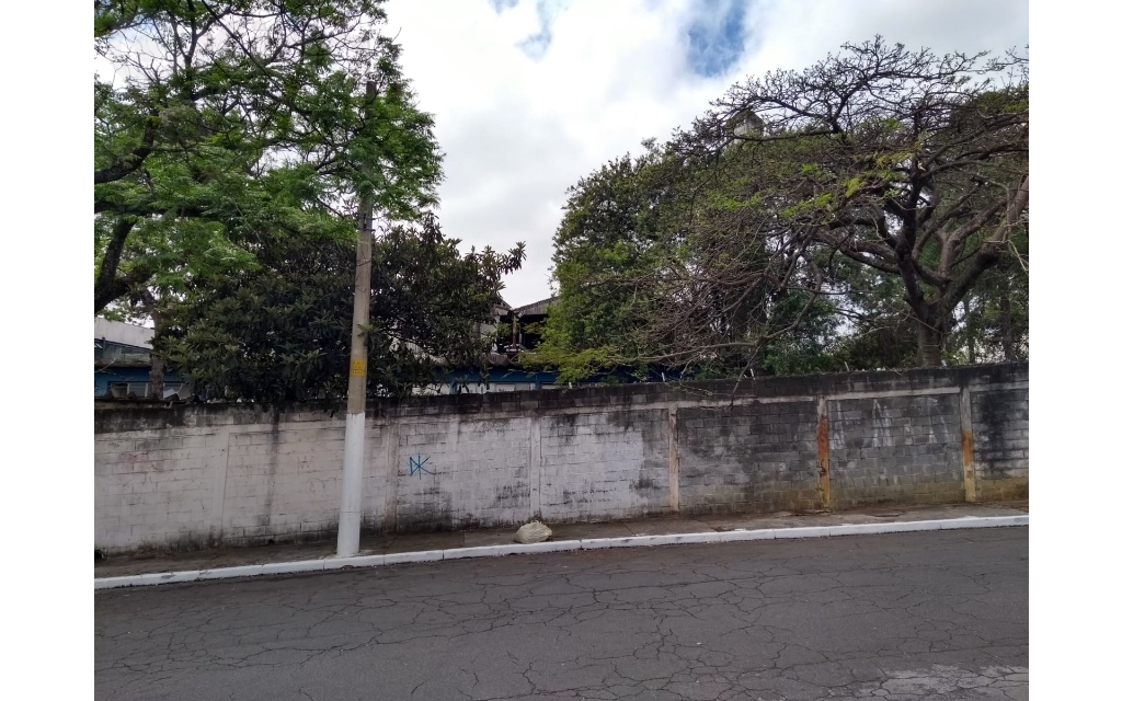 89398562-526e-41f6-a404-3ab41a9a8786-KING IMOVEIS TERRENO CANGAIBA 47363