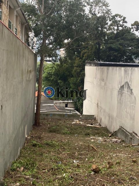 8e5eb5a0-7819-4e09-95a8-e85af7e6b6ba-KING IMOVEIS TERRENO VILA ESPERANCA 72705