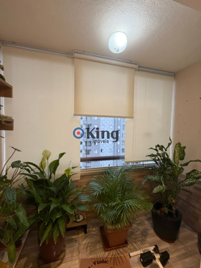 91c94029-7721-4055-af34-c1294ee17072-KING IMOVEIS APARTAMENTO PARQUE CISPER 77305