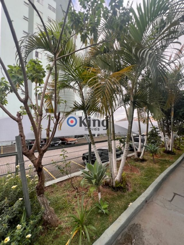 a4194ae5-ce92-4f3f-a2ac-e93f3867b295-KING IMOVEIS APARTAMENTO VILA RUI BARBOSA 74403