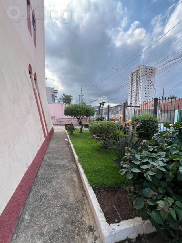 a5e88f9a-2220-462d-83cc-3979ab91f586-KING IMOVEIS APARTAMENTO VILA PARANAGUA 65926