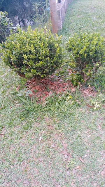 a65f5df7-0679-4040-9d6a-6d2bcdd72654-KING IMOVEIS SITIO CHACARA Jardim Suely 65466