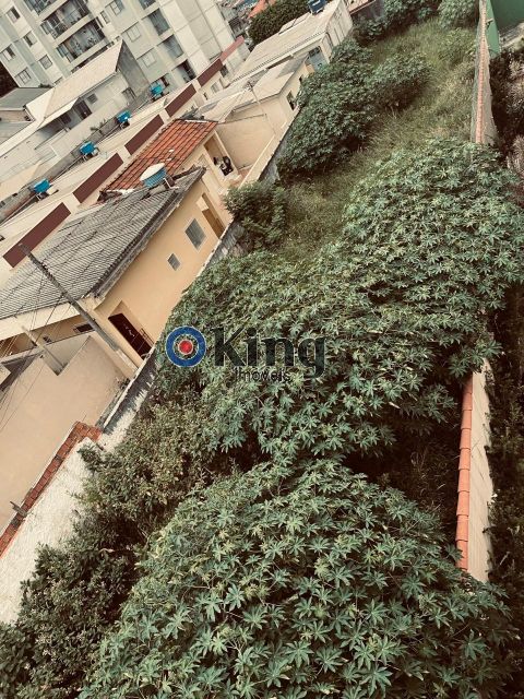 b84e9da3-d4dc-4f2e-8716-75815fed994a-KING IMOVEIS TERRENO VILA SANTANA 74382
