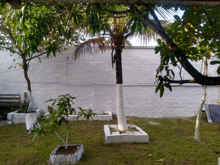 c0518a74-c4cd-4b8e-bd3b-8212610a54e4-KING IMOVEIS CASA  63418