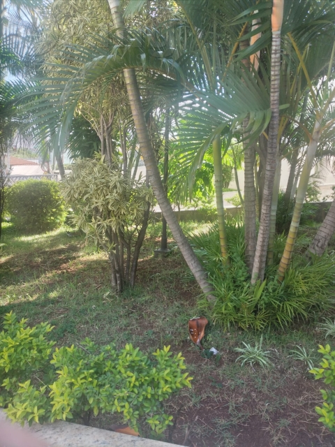 c307dd34-f9a2-4a8b-be9d-33d8a5e69867-KING IMOVEIS APARTAMENTO VILA ARICANDUVA 60649
