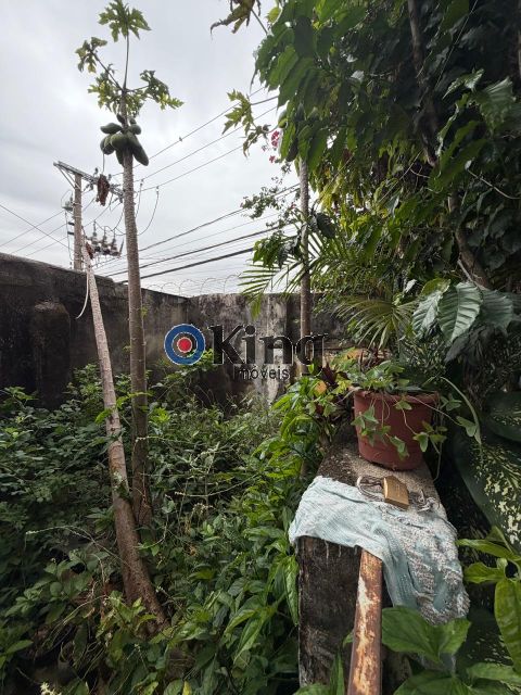 e80c79df-a3cd-406e-8a34-a4bcc5a84b0f-KING IMOVEIS TERRENO VILA SANTANA 74439