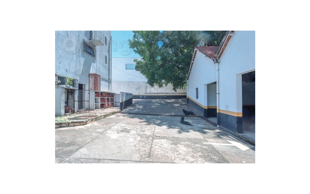 f0f41356-587d-4e3c-af62-020b2a908f3f-KING IMOVEIS SALAO COMERCIAL PENHA DE FRANCA 56166