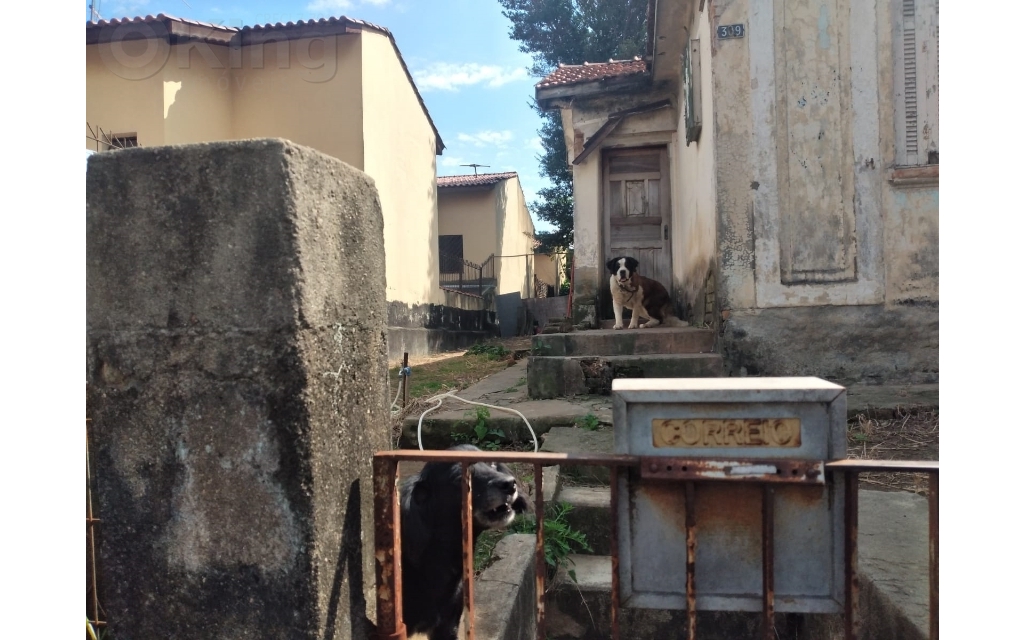 fdc3af5f-78bc-4e6e-b9e3-7d5c7202a638-KING IMOVEIS TERRENO VILA ESPERANCA 46169