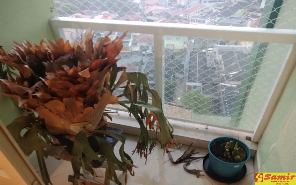 6dc5c22b-789c-4160-8f1a-df9f82c3be79-SAMIR NEGOCIOS IMOBILIARIOS APARTAMENTO VILA MARIA 106746 APARTAMENTO LOCACAO VILA MARIA ALTA,  58m² 