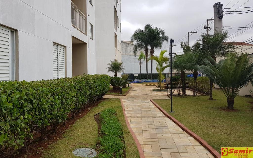 eaae777b-cb67-4893-ac8c-09bc373cf4db-SAMIR NEGOCIOS IMOBILIARIOS APARTAMENTO VILA MARIA ALTA 145123 APARTAMENTO VENDA VILA MARIA ALTA,  51m² 